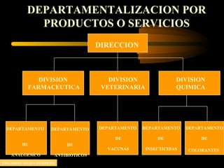 DEPARTAMENTALIZACION POR
PRODUCTOS O SERVICIOS
DIRECCION
DIVISION
VETERINARIA
DIVISION
FARMACEUTICA
DIVISION
QUIMICA
DEPARTAMENTO
DE
ANTIBIOTICOS
DEPARTAMENTO
DE
VACUNAS
DEPARTAMENTO
DE
INSECTICIDAS
DEPARTAMENTO
DE
COLORANTES
DEPARTAMENTO
DE
ANALGESICO
EDGARDO MEJIA HERRERA
 
