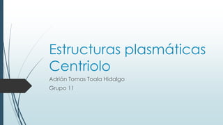 Estructuras plasmáticas
Centriolo
Adrián Tomas Toala Hidalgo
Grupo 11
 