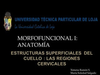 MORFOFUNCIONAL I: ANATOMÍA ESTRUCTURAS SUPERFICIALES  DEL CUELLO	: las regiones cervicales Ximena Ramón S. María Soledad Salgado 