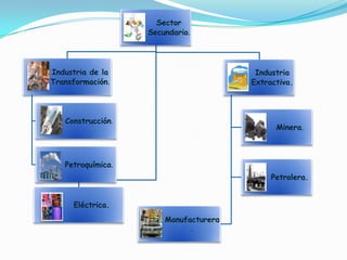 Sector
                   Secundario.




Industria de la                         Industria
Transformación.                        Extractiva.




   Construcción.
                                             Minera.



   Petroquímica.
                                            Petrolera.


     Eléctrica.
                       Manufacturera
                                 .
 