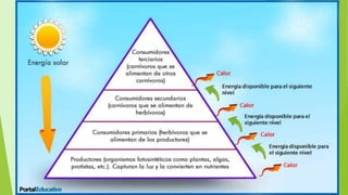 July 22, 2012Footer text here 14
 