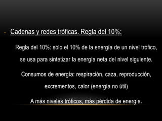 • Cadenas y redes tróficas. Regla del 10%:
Regla del 10%: sólo el 10% de la energía de un nivel trófico,
se usa para sintetizar la energía neta del nivel siguiente.
Consumos de energía: respiración, caza, reproducción,
excrementos, calor (energía no útil)
A más niveles tróficos, más pérdida de energía.
 