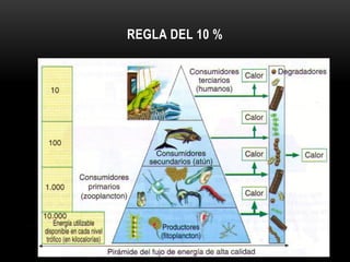 REGLA DEL 10 %
 