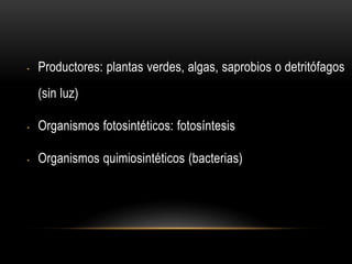 • Productores: plantas verdes, algas, saprobios o detritófagos
(sin luz)
• Organismos fotosintéticos: fotosíntesis
• Organismos quimiosintéticos (bacterias)
 