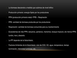 • La biomasa desciende a medida que subimos de nivel trófico
• Producción primaria: energía fijada por los productores
• PPN (producción primaria neta)= PPB – Respiración
• PPB: cantidad de biomasa producida por los productores
• Respiración: cantidad de biomasa consumida para su mantenimiento
• Ecosistemas de más PPN: estuarios, pantanos, marismos, bosque tropical y de menos PPN:
tundra, mar y desierto
• La PP depende de la fotosíntesis.
• Factores limitantes de la fotosíntesis: cion de CO2, O2, agua, temperatura, tiempo
iluminación, intensidad luminosa, etc.
 
