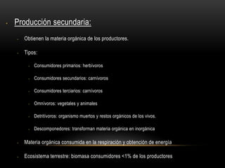 • Producción secundaria:
• Obtienen la materia orgánica de los productores.
• Tipos:
• Consumidores primarios: herbívoros
• Consumidores secundarios: carnívoros
• Consumidores terciarios: carnívoros
• Omnívoros: vegetales y animales
• Detritívoros: organismo muertos y restos orgánicos de los vivos.
• Descomponedores: transforman materia orgánica en inorgánica
• Materia orgánica consumida en la respiración y obtención de energía
• Ecosistema terrestre: biomasa consumidores <1% de los productores
 
