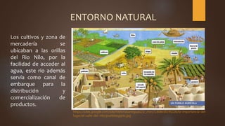 Los cultivos y zona de
mercadería se
ubicaban a las orillas
del Rio Nilo, por la
facilidad de acceder al
agua, este rio además
servía como canal de
embarque para la
distribución y
comercialización de
productos.
https://sites.google.com/site/historiasantiguas13/_/rsrc/1368638195226/la-importancia-del-
lugar/el-valle-del-nilo/puebloegipto.jpg
ENTORNO NATURAL
 