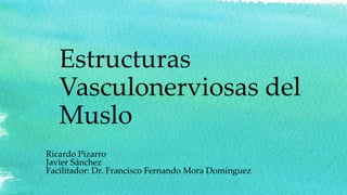 Estructuras
Vasculonerviosas del
Muslo
Ricardo Pizarro
Javier Sánchez
Facilitador: Dr. Francisco Fernando Mora Domínguez
 