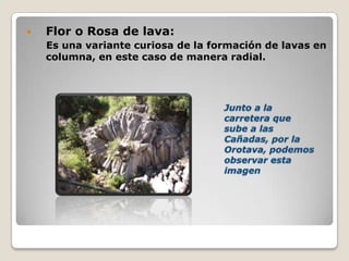  Flor o Rosa de lava:
Es una variante curiosa de la formación de lavas en
columna, en este caso de manera radial.