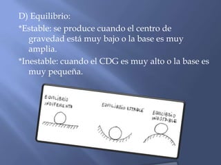 D) Equilibrio:
*Estable: se produce cuando el centro de
gravedad está muy bajo o la base es muy
amplia.
*Inestable: cuando el CDG es muy alto o la base es
muy pequeña.
 