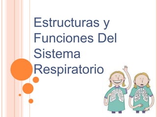Estructuras y
Funciones Del
Sistema
Respiratorio
 