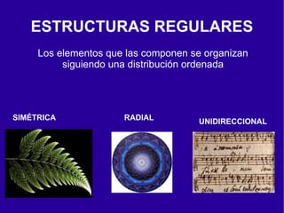 ESTRUCTURAS REGULARES
     Los elementos que las componen se organizan
          siguiendo una distribución ordenada




SIMÉTRICA             RADIAL         UNIDIRECCIONAL
 