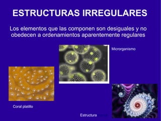 ESTRUCTURAS IRREGULARES
Los elementos que las componen son desiguales y no
obedecen a ordenamientos aparentemente regulares

                                              Microrganismo




 Coral platillo

                         Estructura fractal
 