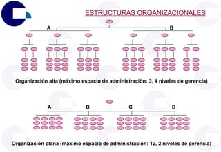 ESTRUCTURAS ORGANIZACIONALES A B A D C B Organización alta (máximo espacio de administración: 3, 4 niveles de gerencia) Organización plana (máximo espacio de administración: 12, 2 niveles de gerencia) 