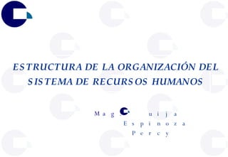 ESTRUCTURA DE LA ORGANIZACIÓN  DEL  SISTEMA DE RECURSOS HUMANOS  uija Espinoza Percy  Mag. 