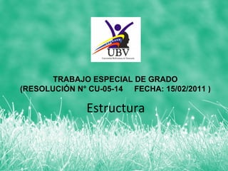 TRABAJO ESPECIAL DE GRADO
(RESOLUCIÓN N° CU-05-14 FECHA: 15/02/2011 )

              Estructura
 