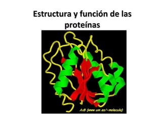 Estructura y función de las proteínas 