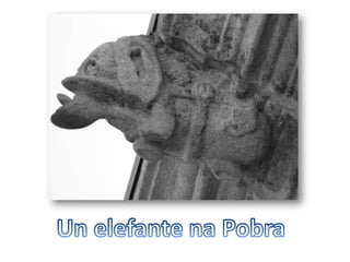 Un elefante na Pobra
