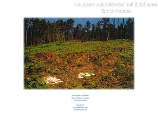 Santa María a Antiga do  Caramiñal.