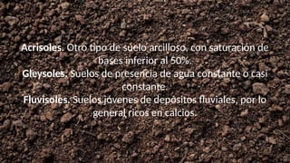 Estructura y clasificación de los tipos de suelo..pptx