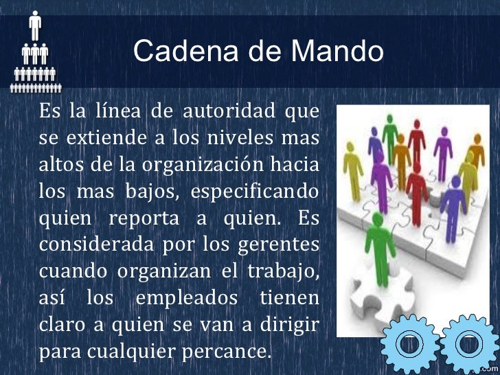 Estructura y diseño organizacional