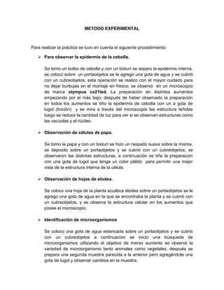 METODO EXPERIMENTAL



Para realizar la práctica se tuvo en cuenta el siguiente procedimiento:

    Para observar la epidermis de la cebolla.

      Se tomo un bulbo de cebolla y con un bisturí se separo la epidermis interna,
      se coloco sobre un portaobjetos se le agrego una gota de agua y se cubrió
      con un cubreobjetos, esta operación se realizo con el mayor cuidado para
      no dejar burbujas en el montaje en fresco; se observó en un microscopio
      de marca olympus cx21led. La preparación en distintos aumentos
      empezando por el más bajo; después de haber observado la preparación
      en todos los aumentos se tiño la epidermis de cebolla con un a gota de
      lugol (tinción) y se mira a través del microscopio las estructura teñidas
      luego se reduce la cantidad de luz para ver si se observan estructuras como
      las vacuolas y el núcleo.

    Observación de células de papa.

      Se tomo la papa y con un bisturí se hizo un raspado suave sobre la misma,
      se deposito sobre un portaobjetos y se cubrió con un cubreobjetos; se
      observaron las distintas estructuras, a continuación se tiñe la preparación
      con una gota de lugol que tenga un color pálido para permitir una mejor
      vista de la estructura interna de la célula.

    Observación de hojas de elodea.

      Se coloco una hoja de la planta acuática elodea sobre un portaobjetos se le
      agrego una gota de agua en la que se encontraba la planta y se cubrió con
      un cubreobjetos, y se observa la estructura celular en los aumentos que
      posee el microscopio.

    Identificación de microorganismos

      Se coloco una gota de agua estancada sobre un portaobjetos y se cubrió
      con un cubreobjetos a continuación se inicio una búsqueda de
      microorganismos utilizando el objetivo de menor aumento se observó la
      variedad de microorganismo tanto animales como vegetales; después se
      prepara una segunda muestra parecida a la anterior pero agregándole una
      gota de lugol y observar cambios en la muestra.
 