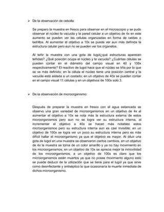  De la observación de cebolla:

   Se preparo la muestra en fresco para observar en el microscopio y se pudo
   observar el núcleo la vacuola y la pared celular a un objetivo de 4x en este
   aumento se pueden ver las células organizadas en forma de celdas o
   ladrillos. Al aumentar el objetivo a 10x se puede ver aun más definida la
   estructura celular pero aun no se pueden ver los organelos.

   Al teñir la muestra con una gota de lugol¿qué estructuras aparecen
   teñidas? ¿Qué posición ocupa el núcleo y la vacuola? ¿Cuántas células se
   pueden contar en el diámetro del campo visual en 40 y 100x
   respectivamente? El reactivo de lugol hace que el núcleo se tiña por lo que
   se ve más definido; en la célula el núcleo tiene una posición central y la
   vacuola está aislada a un costado; en un objetivo de 40x se pueden contar
   en el campo visual 11 células y en un objetivos de 100x solo 3.



 De la observación de microorganismo:


   Después de preparar la muestra en fresco con el agua estancada se
   observo una gran variedad de microorganismos en un objetivo de 4x al
   aumentar el objetivo a 10x se nota más la estructura externa de estos
   microorganismos pero aun no se logra ver su estructura interna, al
   incrementar el objetivo a 40x se hacen más notables estos
   microorganismos pero su estructura interna aun es casi invisible; en un
   objetivo de 100x se logra ver un poco su estructura interna pero es más
   difícil hallar el microorganismo ya que el objetivo es mayor. Al diluir una
   gota de lugol en una muestra se observaron ciertos cambios, en un objetivo
   de 4x la muestra se torna de un color amarillo y ya no hay movimiento en
   los microorganismos; en un objetivo de 10x se aprecia mejor la inmovilidad
   de los microorganismos; a un objetivo de 100x es claro que los
   microorganismos están muertos ya que no posee movimiento alguno esto
   se puede deducir de la utilización que se tiene para el lugol ya que sirve
   como desinfectante y antiséptico lo que ocasionaría la muerte inmediata de
   dichos microorganismo.
 