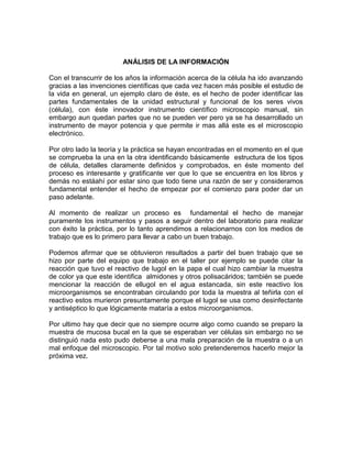 ANÁLISIS DE LA INFORMACIÓN

Con el transcurrir de los años la información acerca de la célula ha ido avanzando
gracias a las invenciones científicas que cada vez hacen más posible el estudio de
la vida en general, un ejemplo claro de éste, es el hecho de poder identificar las
partes fundamentales de la unidad estructural y funcional de los seres vivos
(célula), con éste innovador instrumento científico microscopio manual, sin
embargo aun quedan partes que no se pueden ver pero ya se ha desarrollado un
instrumento de mayor potencia y que permite ir mas allá este es el microscopio
electrónico.

Por otro lado la teoría y la práctica se hayan encontradas en el momento en el que
se comprueba la una en la otra identificando básicamente estructura de los tipos
de célula, detalles claramente definidos y comprobados, en éste momento del
proceso es interesante y gratificante ver que lo que se encuentra en los libros y
demás no estáahí por estar sino que todo tiene una razón de ser y consideramos
fundamental entender el hecho de empezar por el comienzo para poder dar un
paso adelante.

Al momento de realizar un proceso es fundamental el hecho de manejar
puramente los instrumentos y pasos a seguir dentro del laboratorio para realizar
con éxito la práctica, por lo tanto aprendimos a relacionarnos con los medios de
trabajo que es lo primero para llevar a cabo un buen trabajo.

Podemos afirmar que se obtuvieron resultados a partir del buen trabajo que se
hizo por parte del equipo que trabajo en el taller por ejemplo se puede citar la
reacción que tuvo el reactivo de lugol en la papa el cual hizo cambiar la muestra
de color ya que este identifica almidones y otros polisacáridos; también se puede
mencionar la reacción de ellugol en el agua estancada, sin este reactivo los
microorganismos se encontraban circulando por toda la muestra al teñirla con el
reactivo estos murieron presuntamente porque el lugol se usa como desinfectante
y antiséptico lo que lógicamente mataría a estos microorganismos.

Por ultimo hay que decir que no siempre ocurre algo como cuando se preparo la
muestra de mucosa bucal en la que se esperaban ver células sin embargo no se
distinguió nada esto pudo deberse a una mala preparación de la muestra o a un
mal enfoque del microscopio. Por tal motivo solo pretenderemos hacerlo mejor la
próxima vez.
 