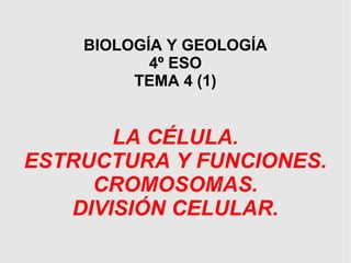 BIOLOGÍA Y GEOLOGÍA
4º ESO
TEMA 4 (1)
LA CÉLULA.
ESTRUCTURA Y FUNCIONES.
CROMOSOMAS.
DIVISIÓN CELULAR.
 