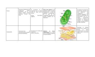 Plastos
Estructuras membranosas de
composición química
lipoproteica, que en su
interior pueden contener
pigmentos, enzimas...