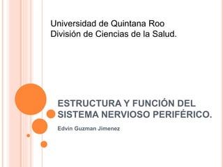 ESTRUCTURA Y FUNCIÓN DEL
SISTEMA NERVIOSO PERIFÉRICO.
Edvin Guzman Jimenez
Universidad de Quintana Roo
División de Ciencias de la Salud.
 