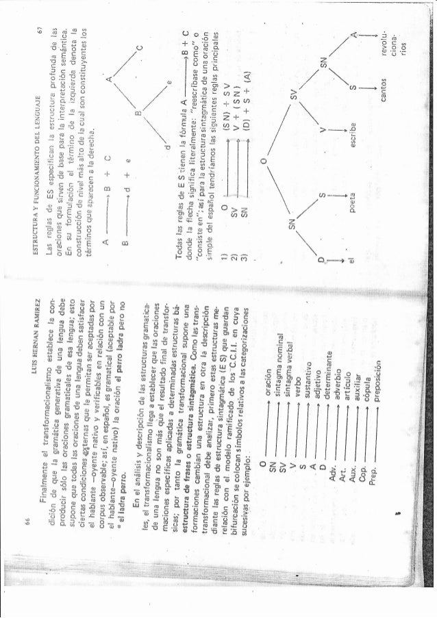 Estructura Y Funcionamiento Del Lenguaje