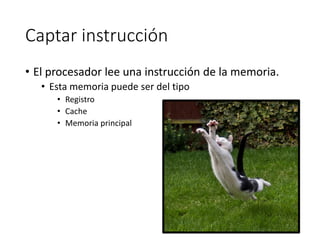 Captar instrucción
• El procesador lee una instrucción de la memoria.
• Esta memoria puede ser del tipo
• Registro
• Cache
• Memoria principal
 