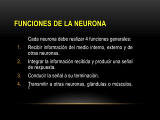 FUNCIONES DE LA NEURONA
Cada neurona debe realizar 4 funciones generales:
1. Recibir información del medio interno, externo y de
otras neuronas.
2. Integrar la información recibida y producir una señal
de respuesta.
3. Conducir la señal a su terminación.
4. Transmitir a otras neuronas, glándulas o músculos.2
 