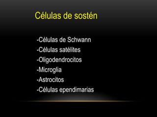 Células de sostén
-Células de Schwann
-Células satélites
-Oligodendrocitos
-Microglia
-Astrocitos
-Células ependimarias
 
