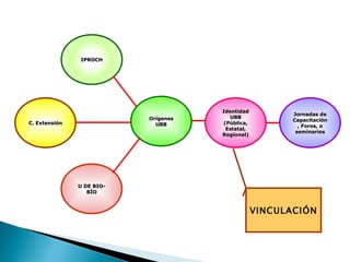 C. Extensión Orígenes UBB Identidad UBB (Pública, Estatal, Regional) Jornadas de Capacitación, Foros, o seminarios U DE BIO-BÍO VINCULACIÓN IPROCH 