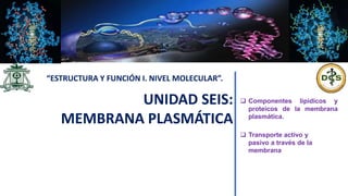 UNIDAD SEIS:
MEMBRANA PLASMÁTICA
“ESTRUCTURA Y FUNCIÓN I. NIVEL MOLECULAR”.
 Componentes lipídicos y
proteicos de la membrana
plasmática.
 Transporte activo y
pasivo a través de la
membrana
 