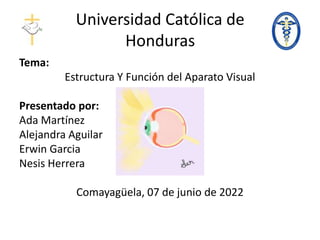 Universidad Católica de
Honduras
Tema:
Estructura Y Función del Aparato Visual
Presentado por:
Ada Martínez
Alejandra Aguilar
Erwin Garcia
Nesis Herrera
Comayagüela, 07 de junio de 2022
 