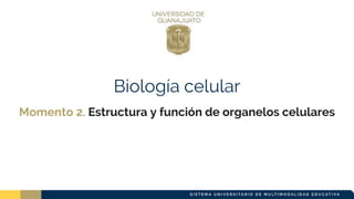 Biología celular
Momento 2. Estructura y función de organelos celulares
 