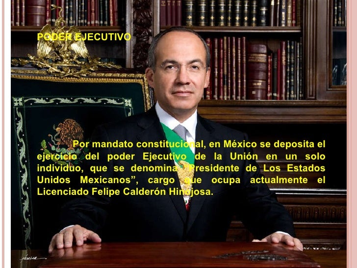 Estructura y funciones del estado