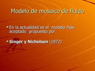 Modelo de mosaico de fluido <ul><li>En la actualidad es el  modelo más aceptado  propuesto por </li></ul><ul><li>Singer y ...