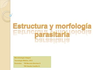 Microbiología Integral
Tecnología Médica, 2012
Docentes:   TM Marcela Sánchez G
            TM Claudia Castillo K.
 