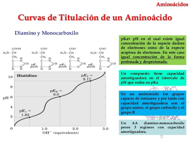 Estructura y propiedades de aminoácidos y proteínas - Fabián Rodríguez