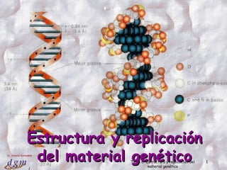 Estructura y replicación
                  del material genético
Dr. Antonio Barbadilla

                               Tema 6: Estructura y replicación del
                                        material genético
                                                                      1
                  1
 