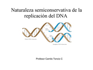 Naturaleza semiconservativa de la replicación del DNA   Profesor Camilo Toncio C  