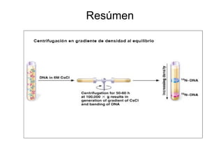 Resúmen  