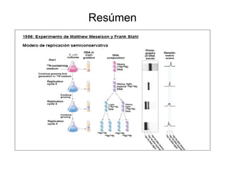 Resúmen 