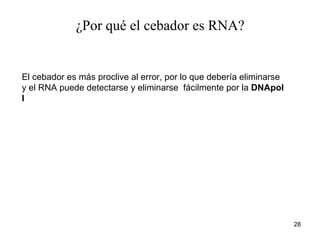El cebador es más proclive al error, por lo que debería eliminarse y el RNA puede detectarse y eliminarse  fácilmente por la  DNApol I ¿Por qué el cebador es RNA?  