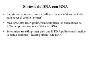 Síntesis de DNA con RNA La primasa es una enzima que adhiere los nucleótidos de RNA para hacer el cebo o “primer” Mas tarde otra DNA polimerasa reemplaza los nucleótidos de RNA del primer con nucleótidos de DNA Se requiere  un sólo  primer para que la DNA polimerasa sintetice la banda continua (“leading strand”) de DNA. 