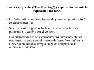 Lectura de prueba (“Proofreading”) y reparación durante la replicación del DNA La DNA polimerasa hace lectura de prueba o “proofreading” en cada nucleótido Si se encuentra algún nucleótido mal apareado, la DNA polimerasa lo cambia por el correcto Los nucleótidos que no estén apareados correctamente, en ocasiones, no pasan por el proceso de “proofreading” de la DNA polimerasa o se arregla luego de completarse la replicación del DNA 